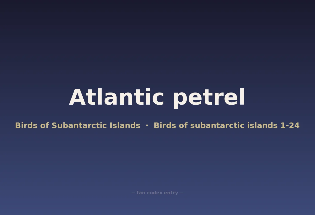 Atlantic petrel
