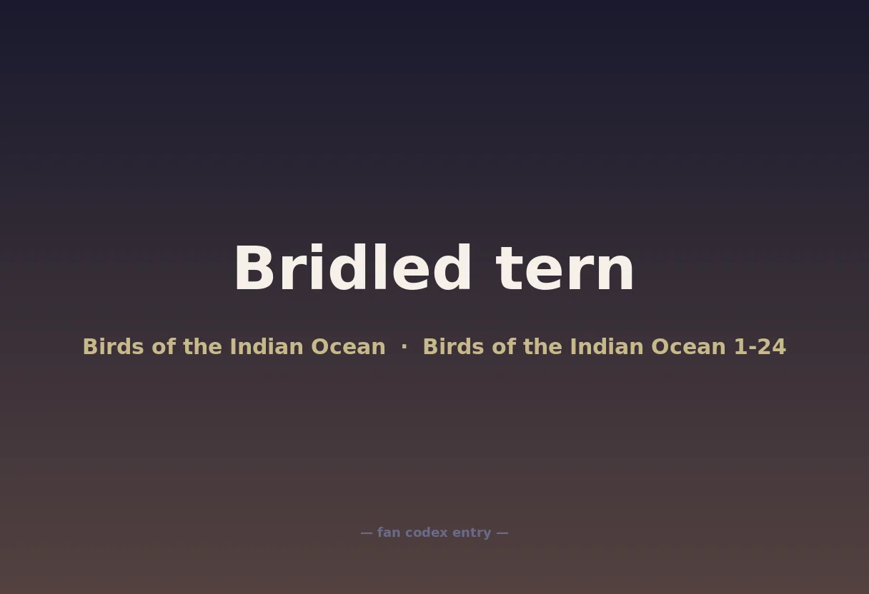 Bridled tern