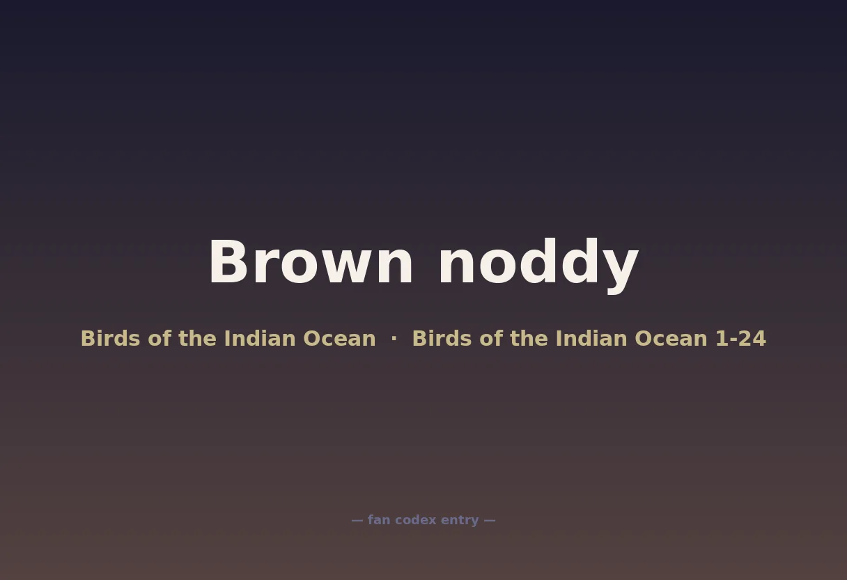 Brown noddy