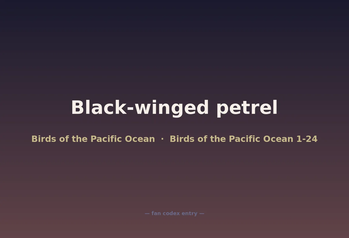 Black-winged petrel