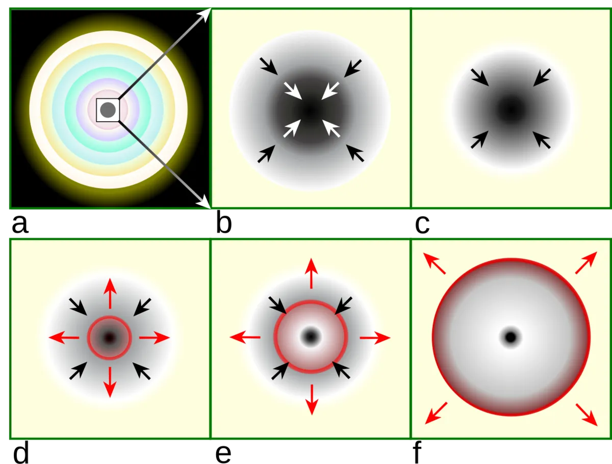 Gravitational collapse