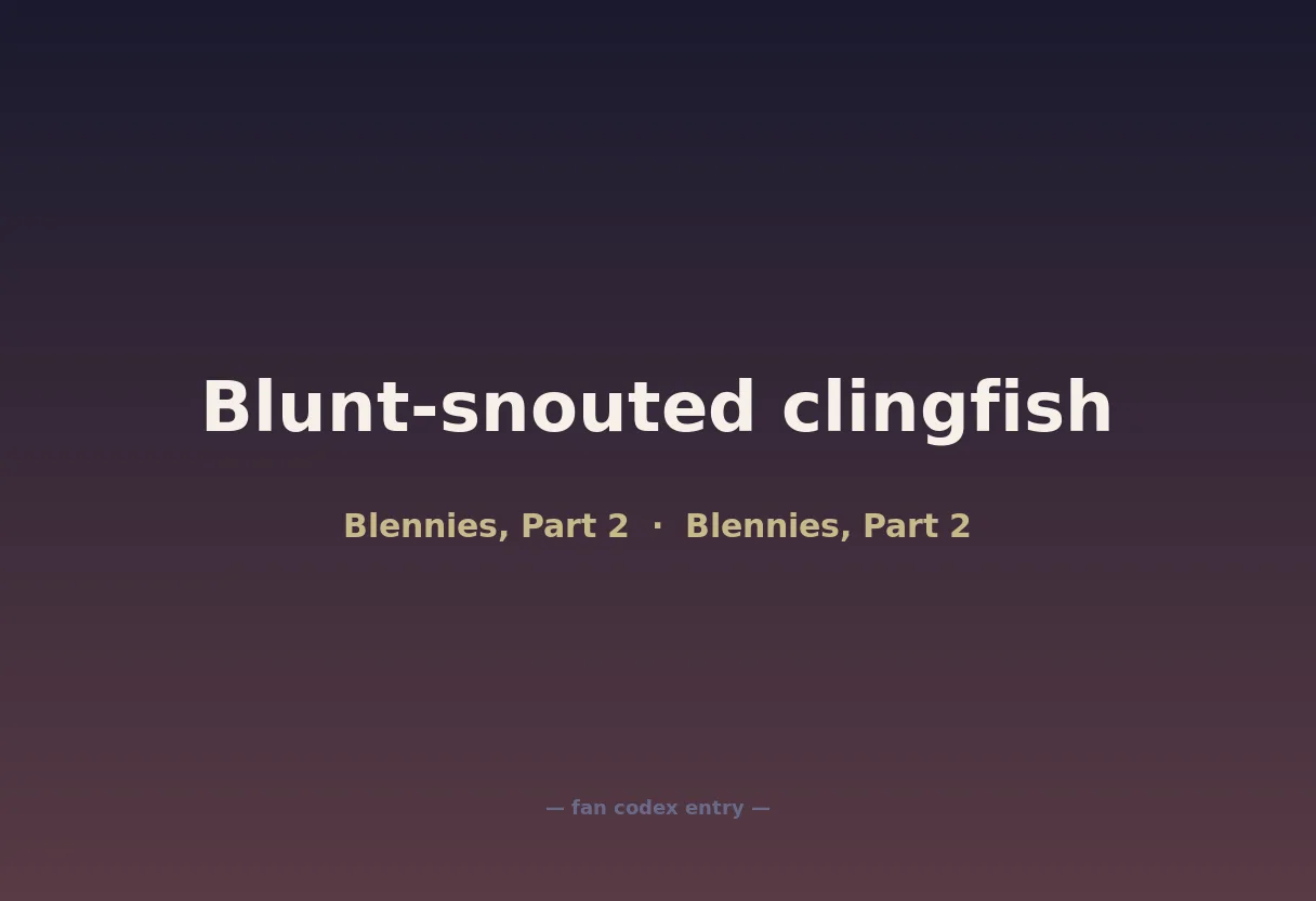 Blunt-snouted clingfish