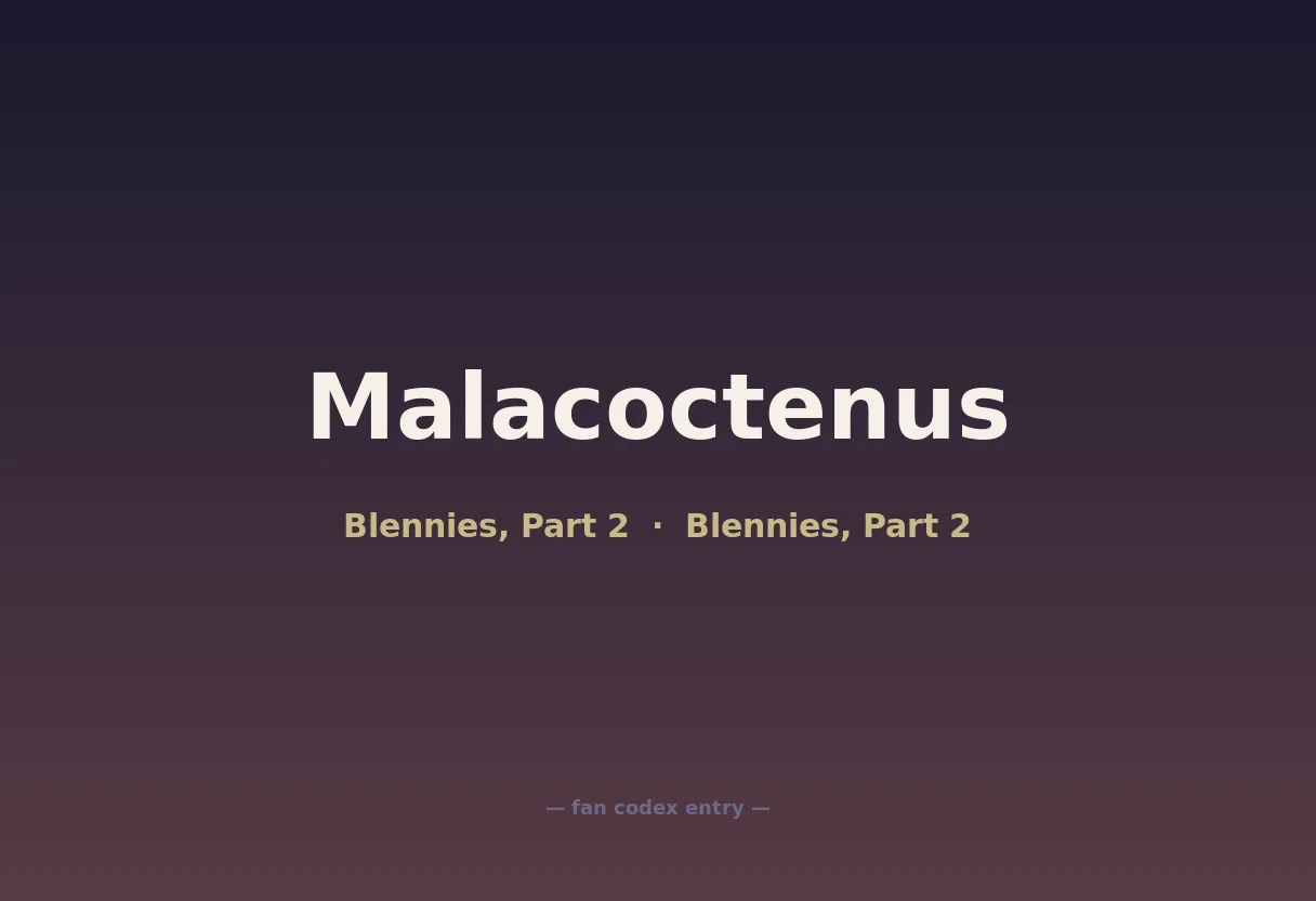 Malacoctenus