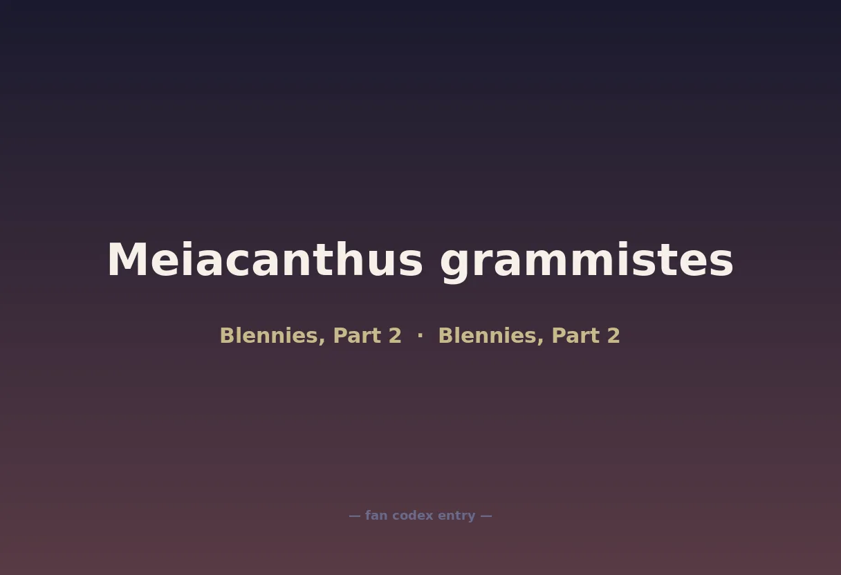 Meiacanthus grammistes
