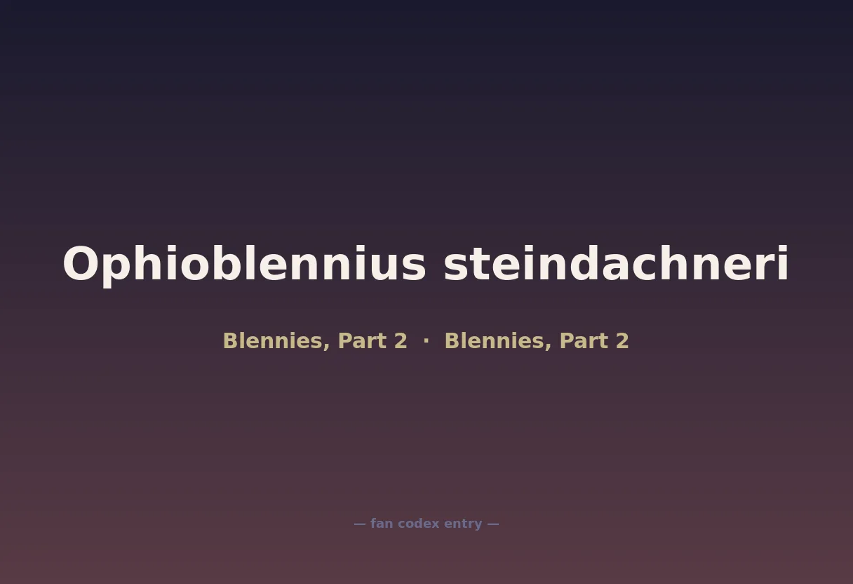 Ophioblennius steindachneri