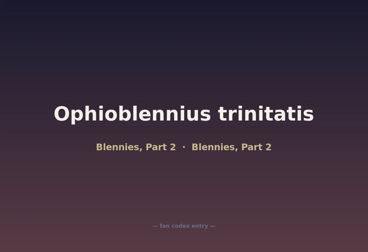 Ophioblennius trinitatis