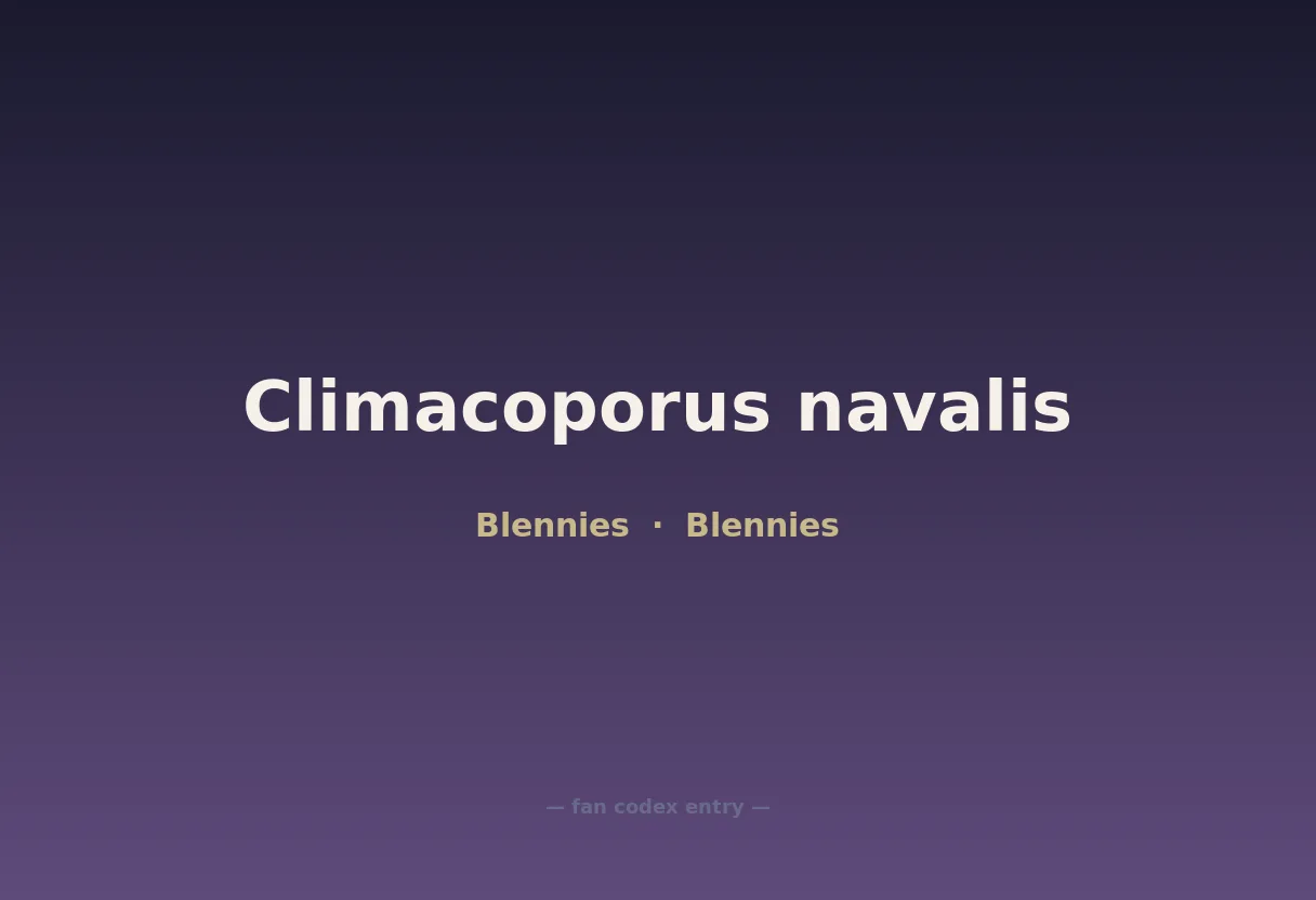 Climacoporus navalis
