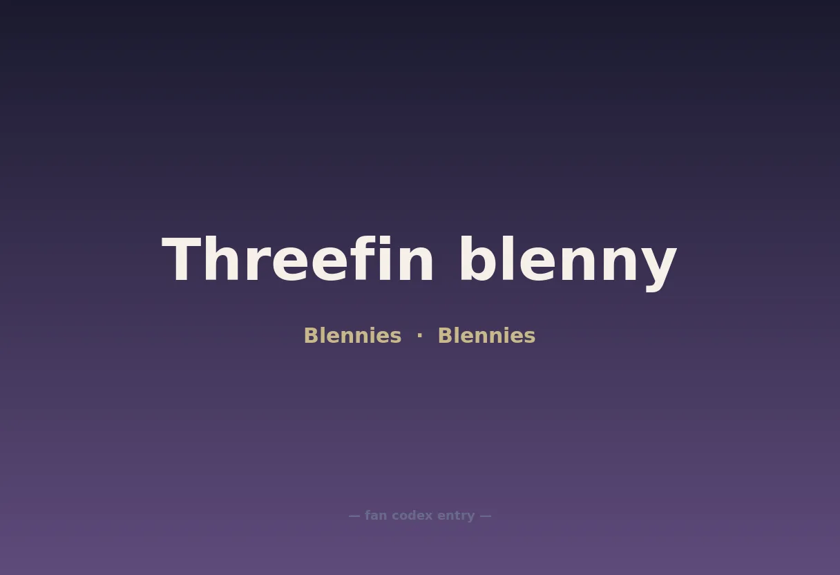 Threefin blenny