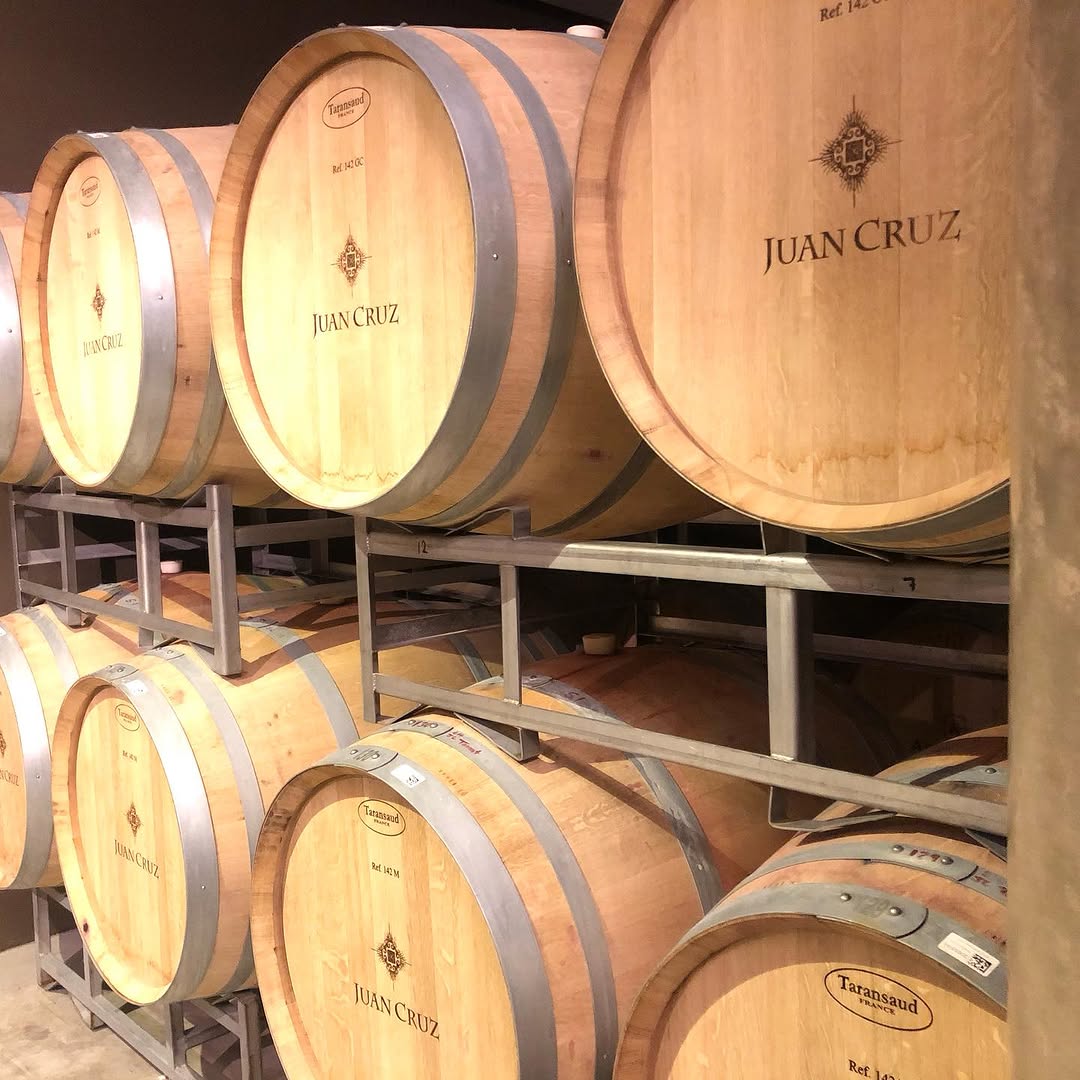Bolivian wine