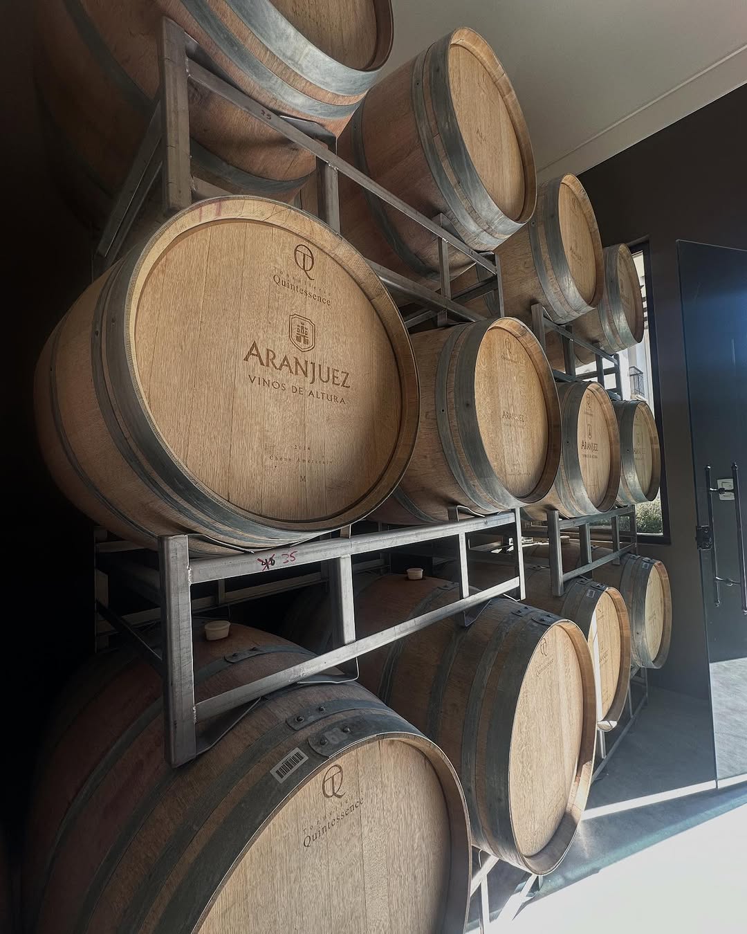 Bolivian wine