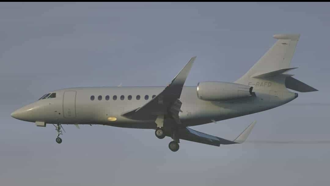 ZVI Falcon