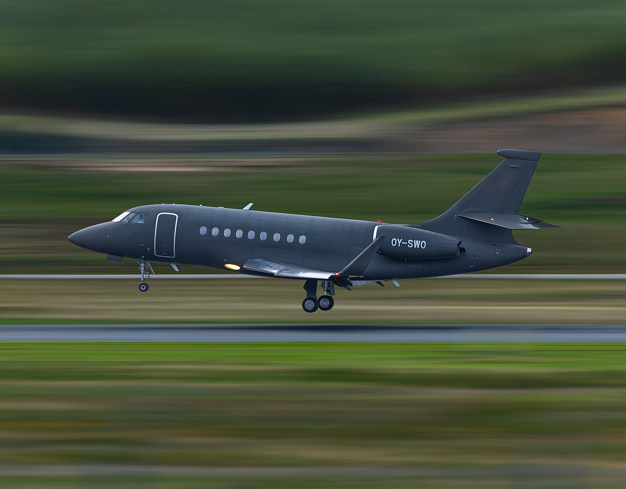 ZVI Falcon