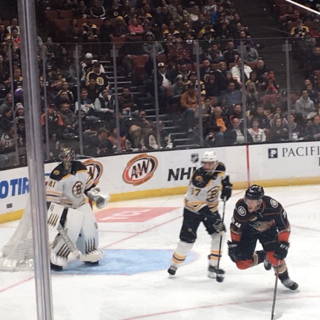 Patrice Bergeron
