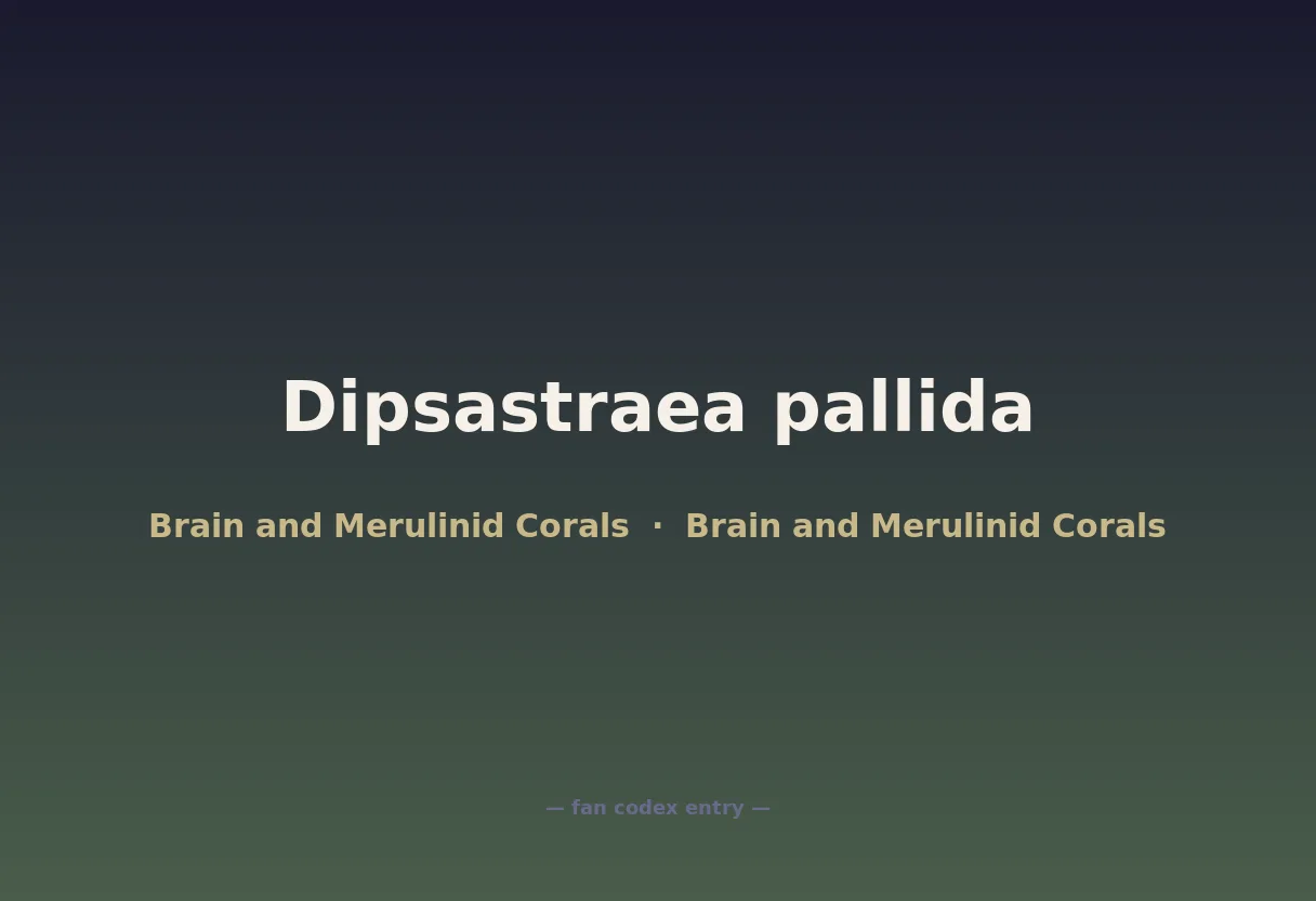 Dipsastraea pallida