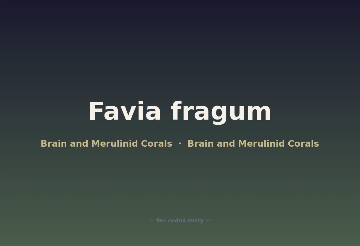 Favia fragum