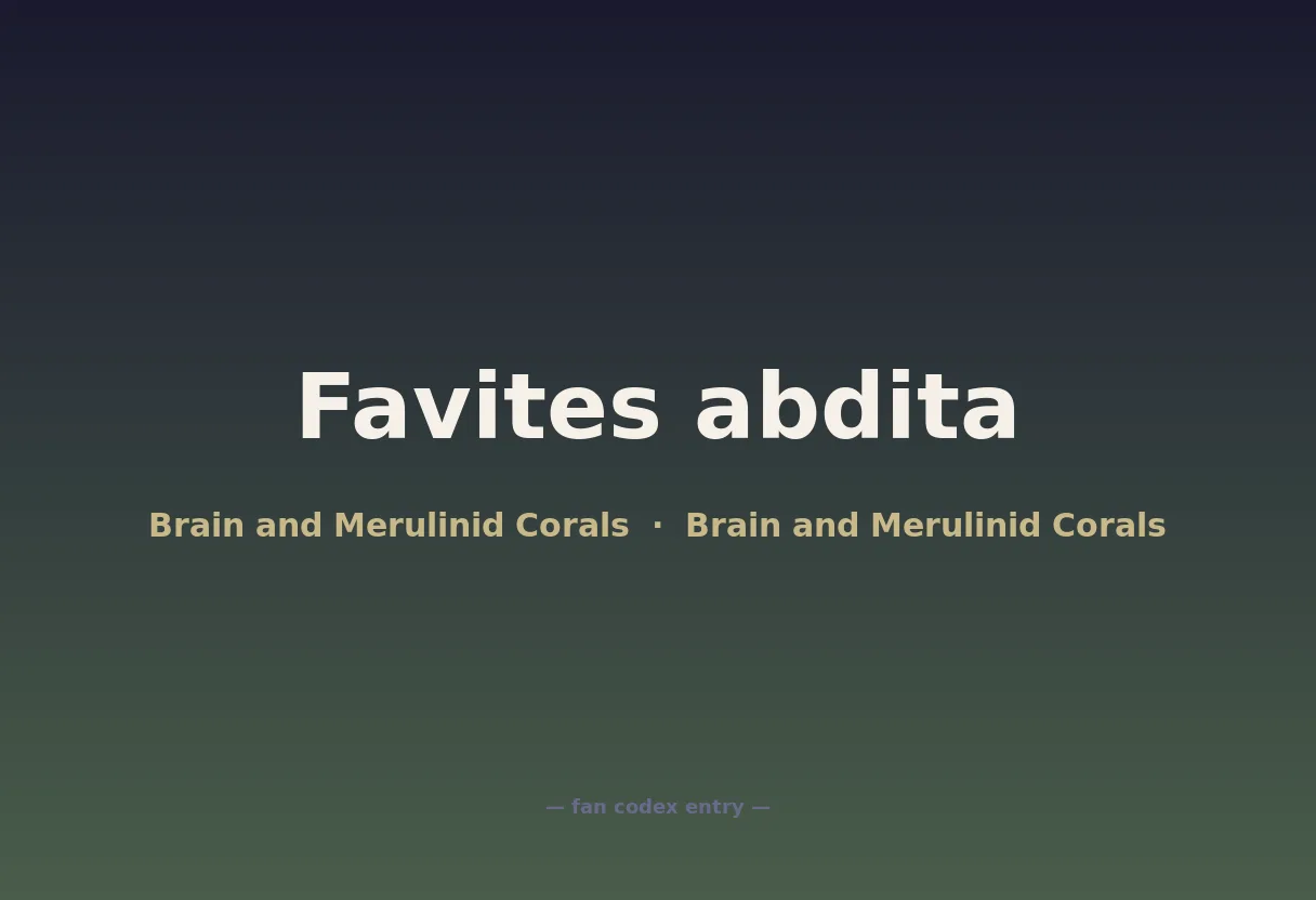 Favites abdita