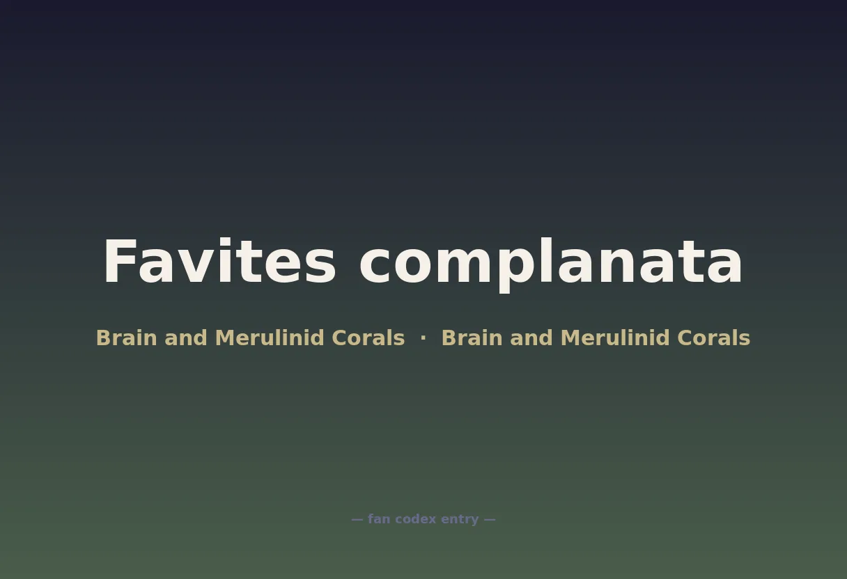 Favites complanata
