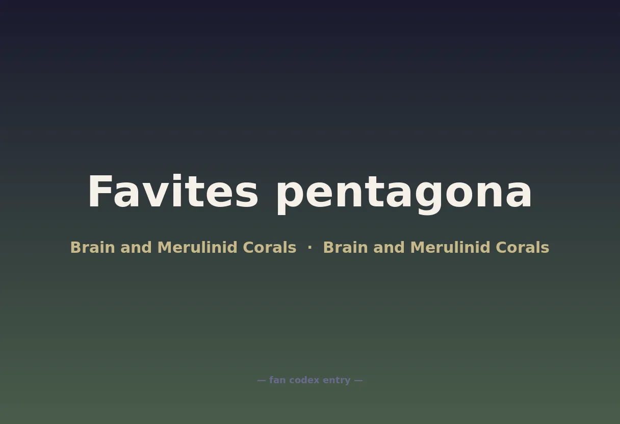 Favites pentagona