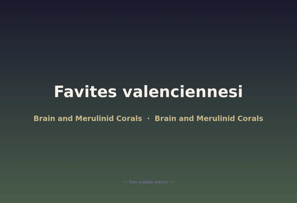 Favites valenciennesi