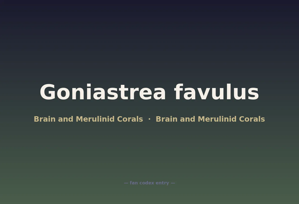 Goniastrea favulus