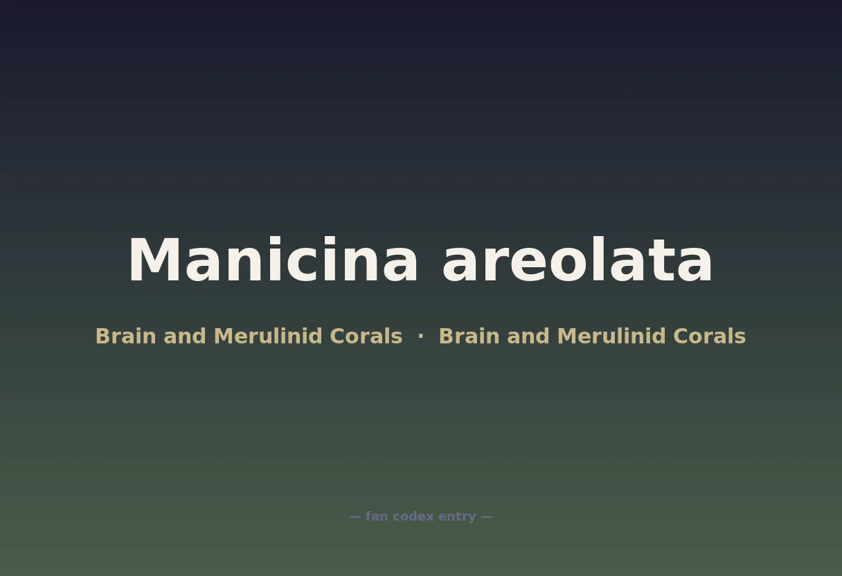 Manicina areolata