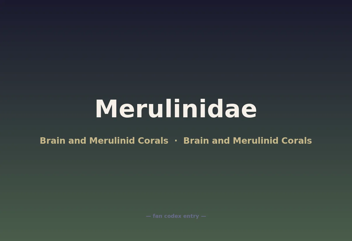 Merulinidae