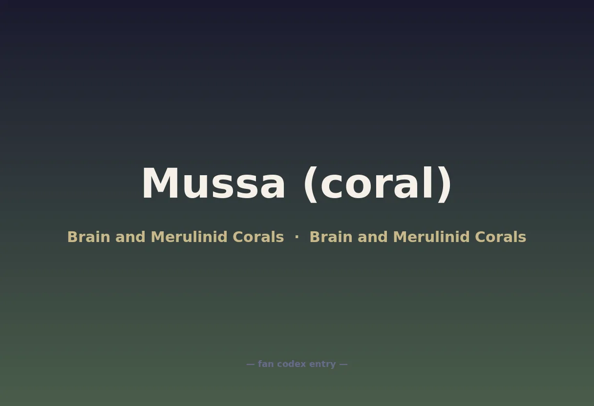 Mussa (coral)