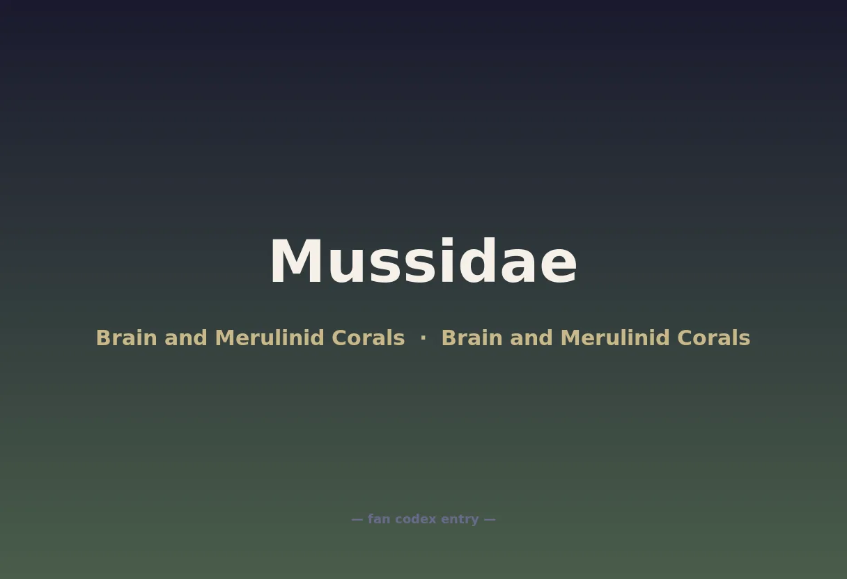 Mussidae