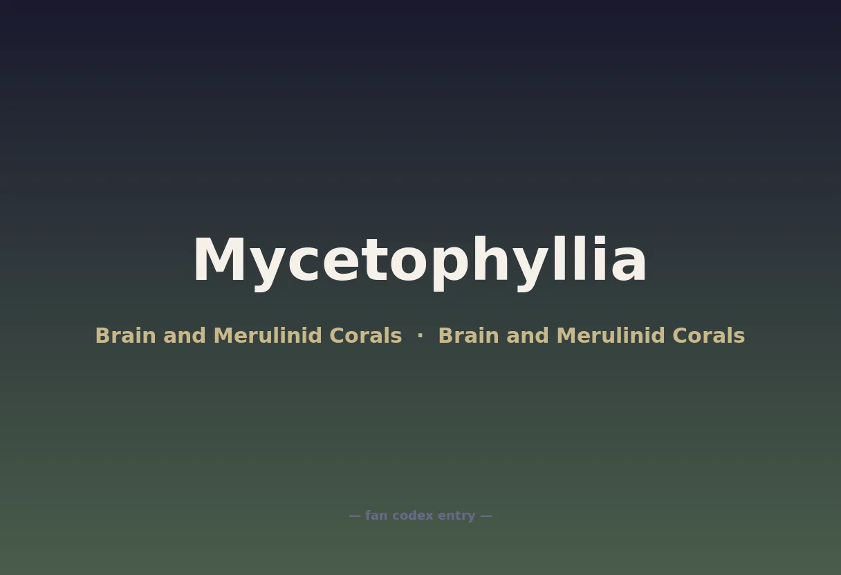 Mycetophyllia