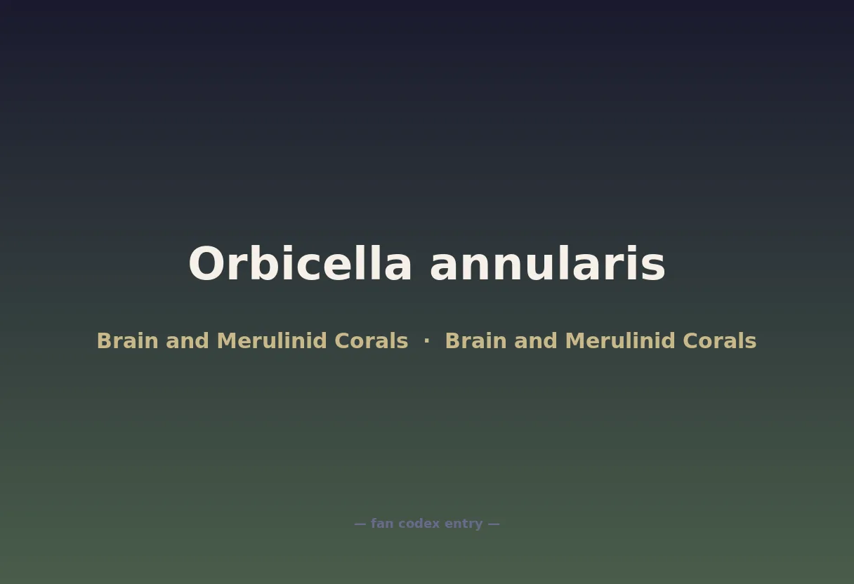 Orbicella annularis