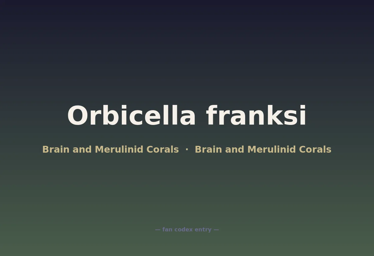 Orbicella franksi