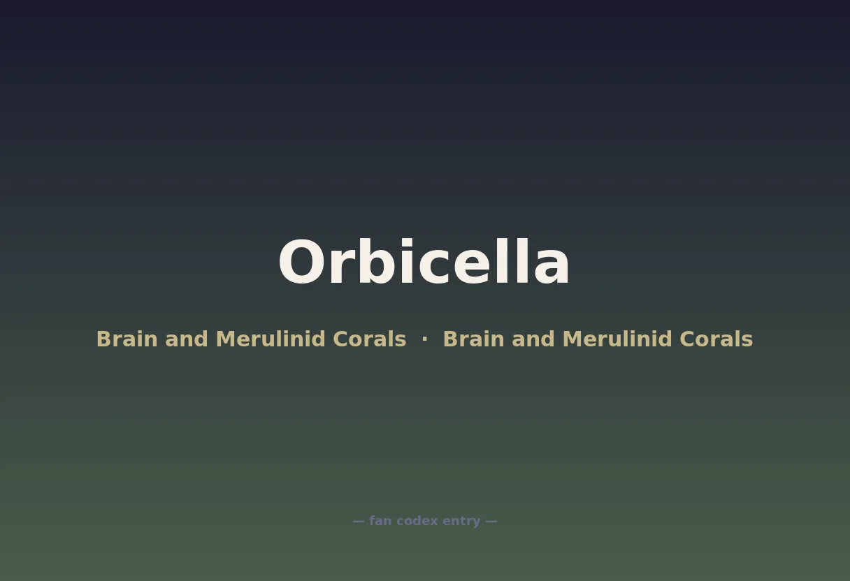Orbicella