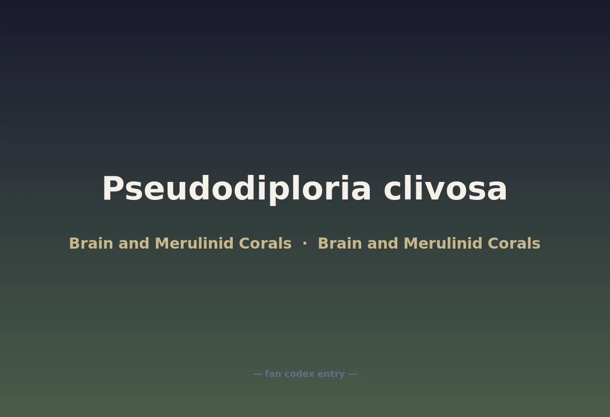 Pseudodiploria clivosa