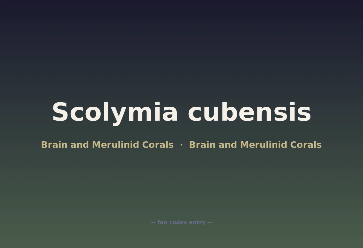 Scolymia cubensis