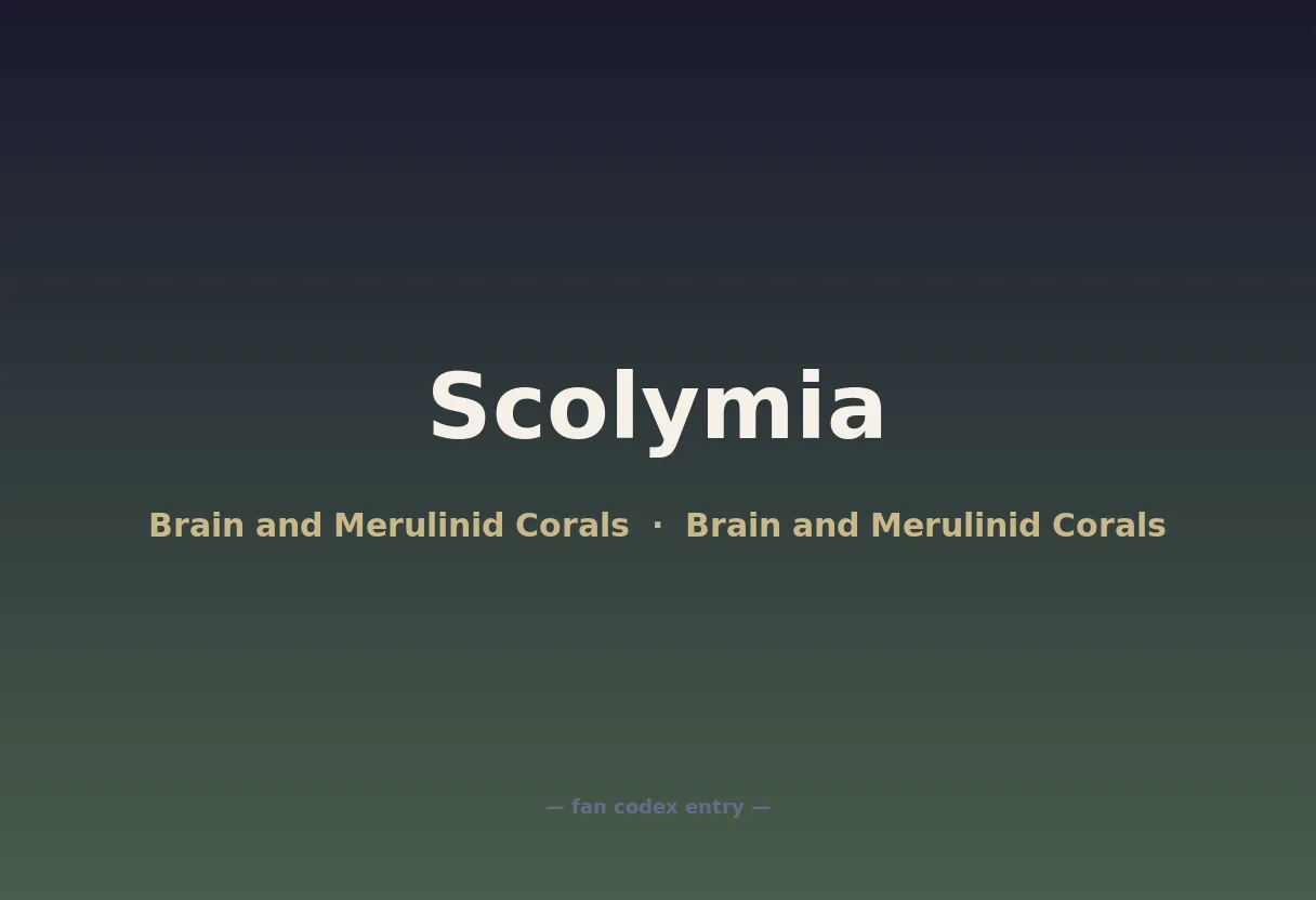 Scolymia