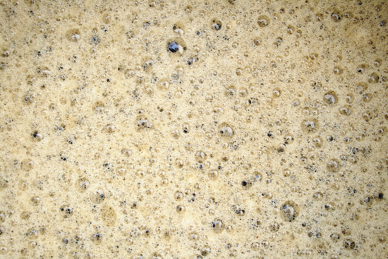 2009-03-21 Beer brewing bubbles
