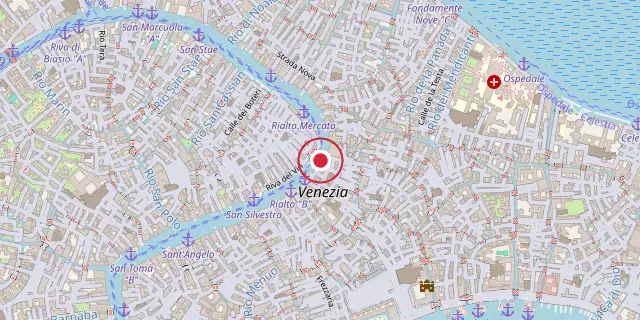 Street map of the area around The Rialto Bridge; the red dot marks 45°26′17″N 12°20′10″E