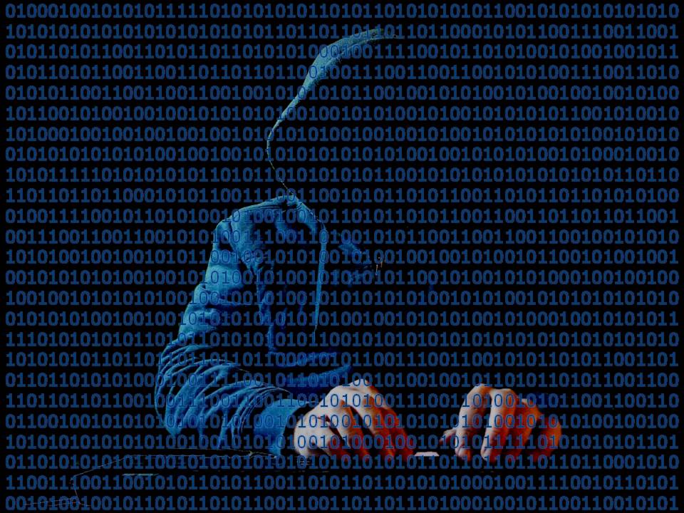 Hacker Time