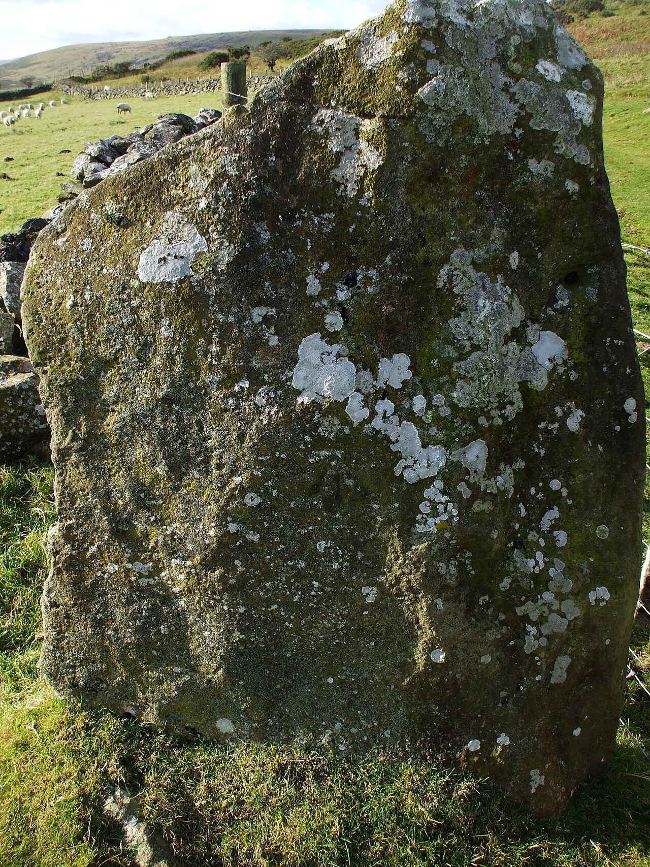 Bluestone 42