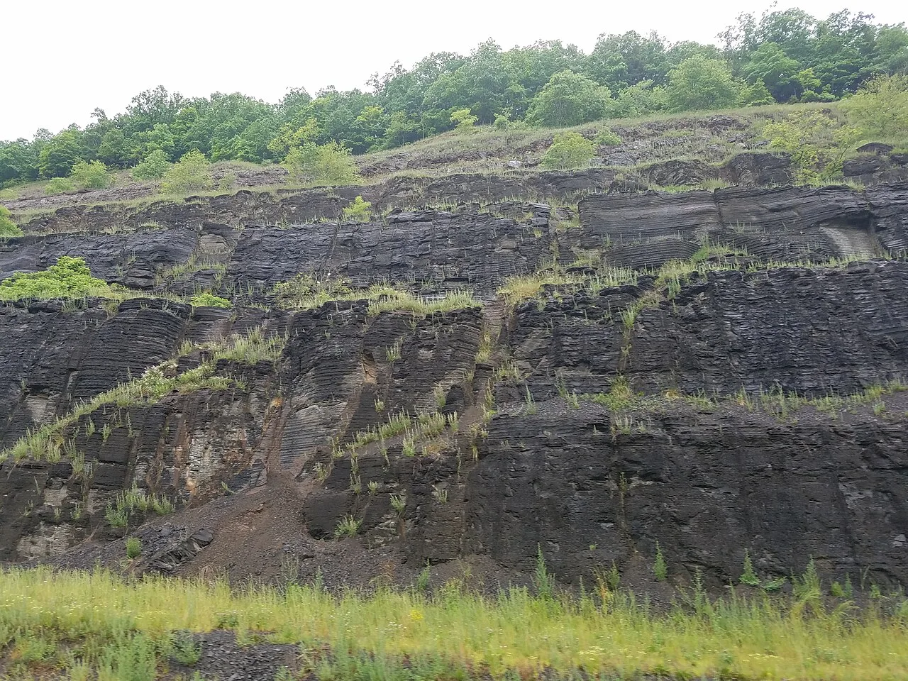 Bluestone 42