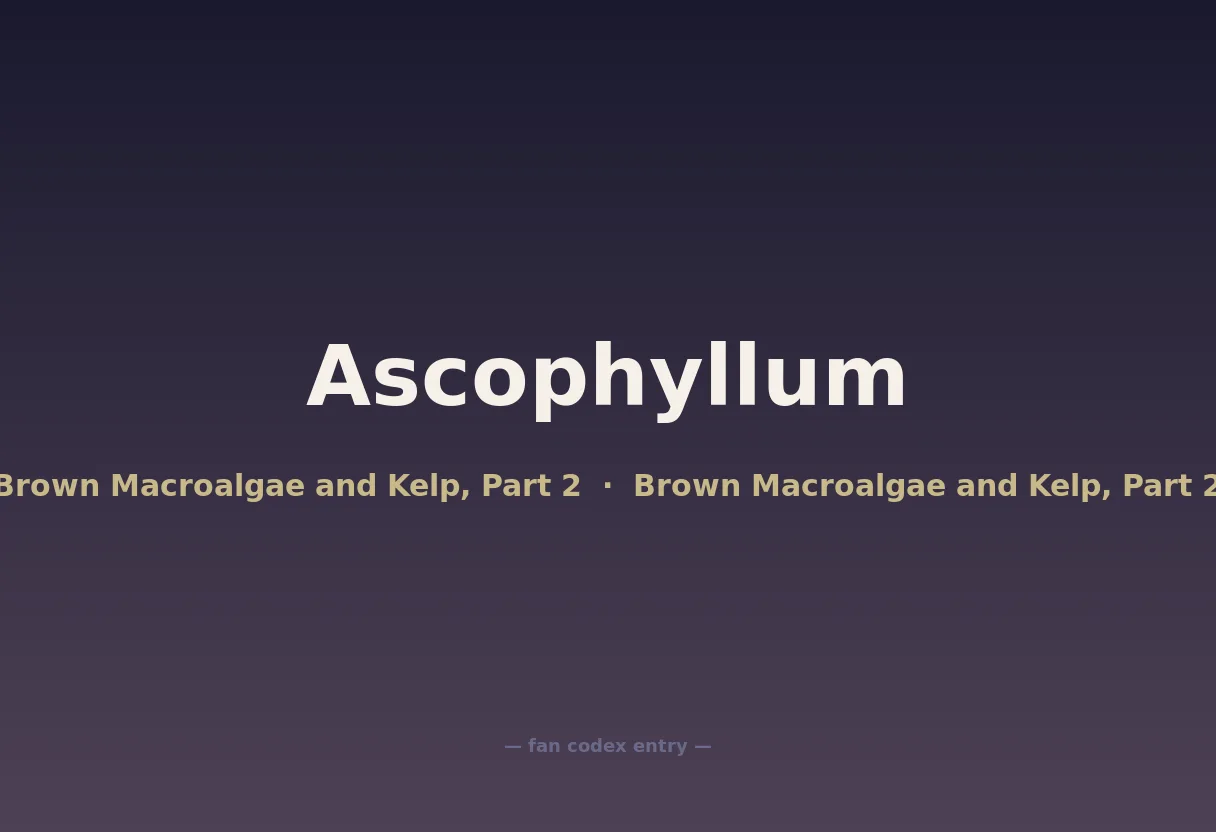 Ascophyllum