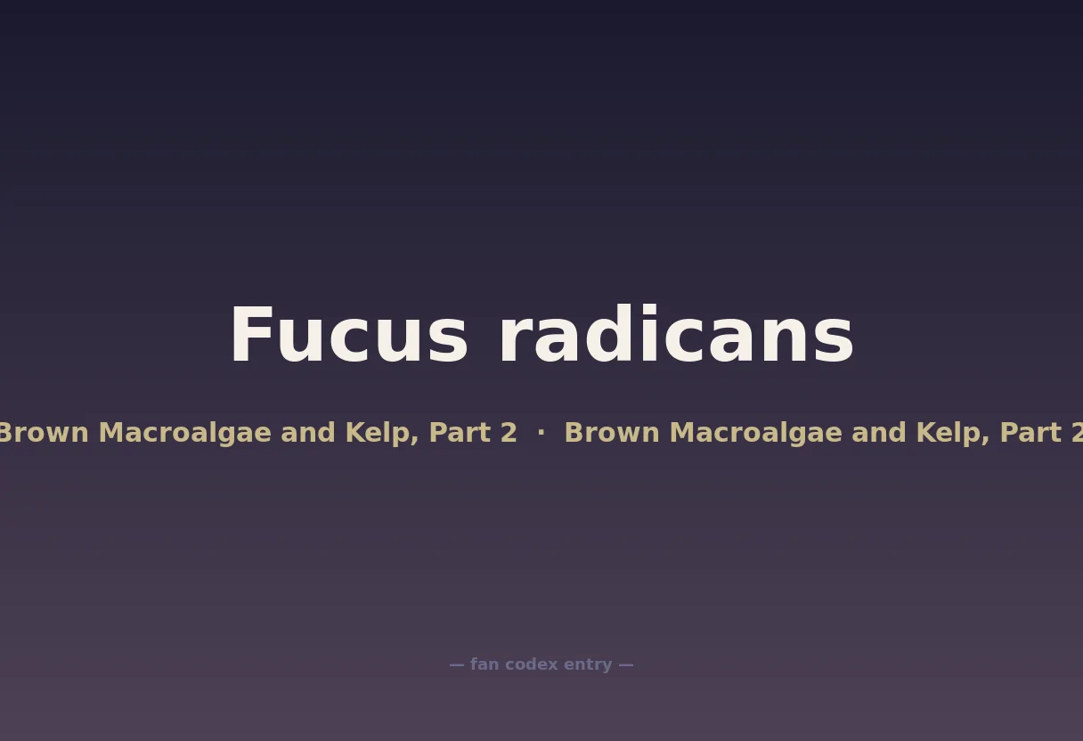 Fucus radicans