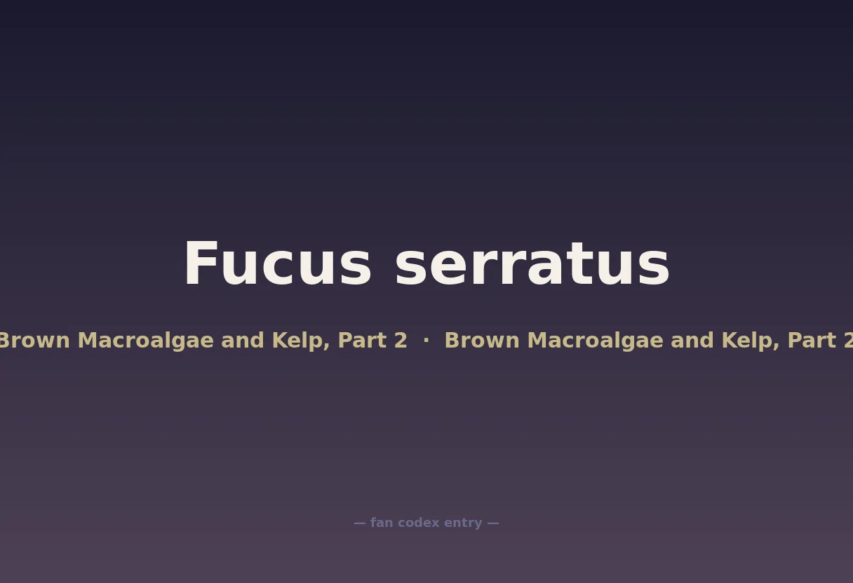 Fucus serratus