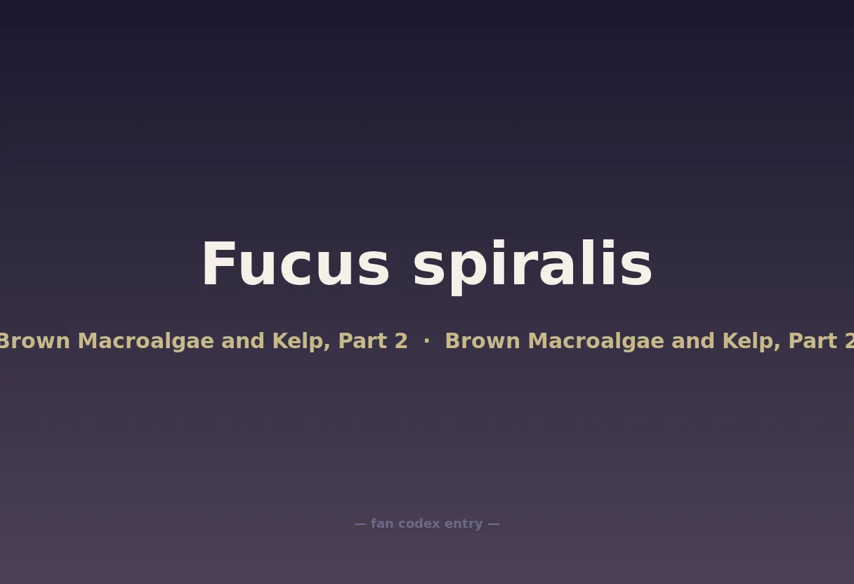 Fucus spiralis