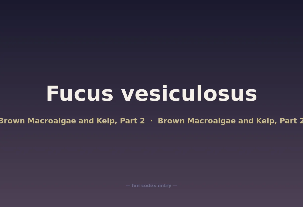 Fucus vesiculosus