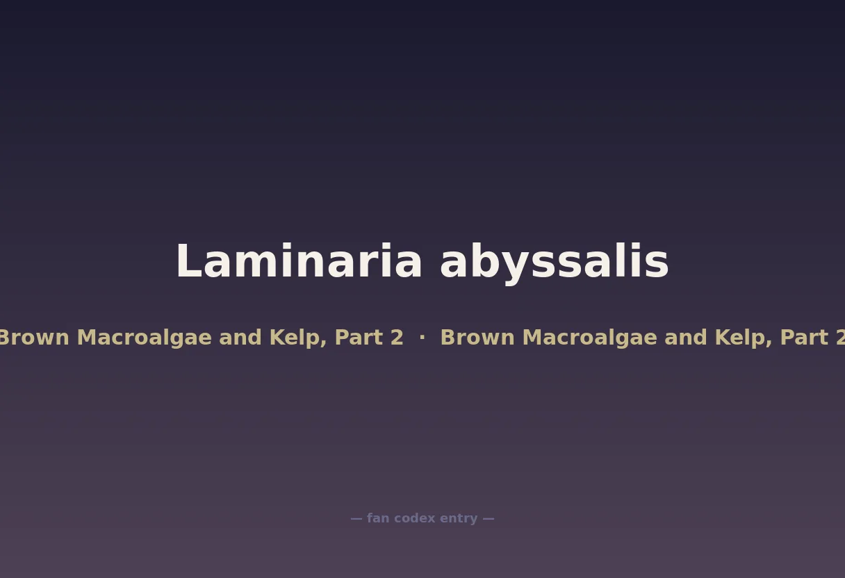 Laminaria abyssalis