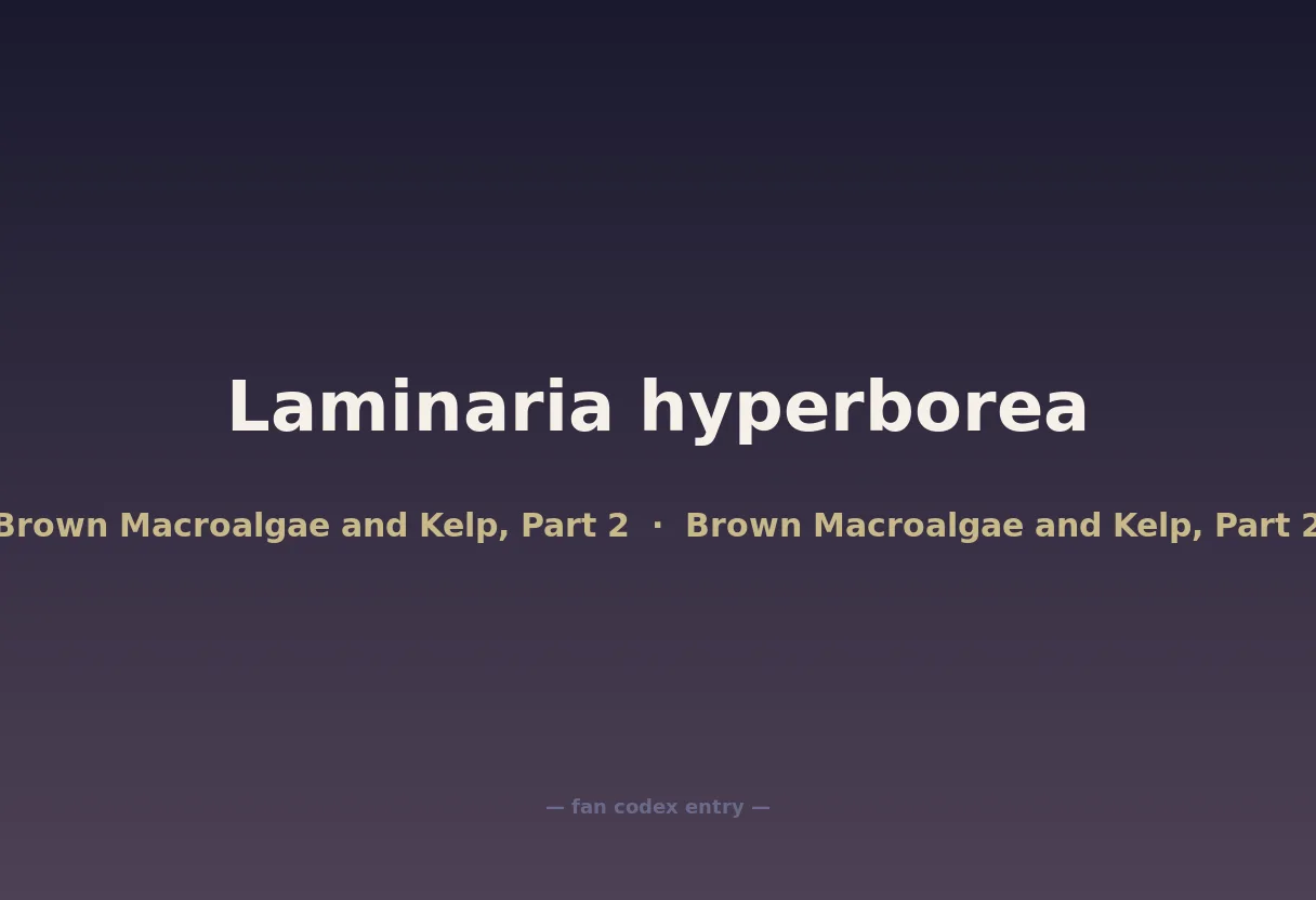 Laminaria hyperborea