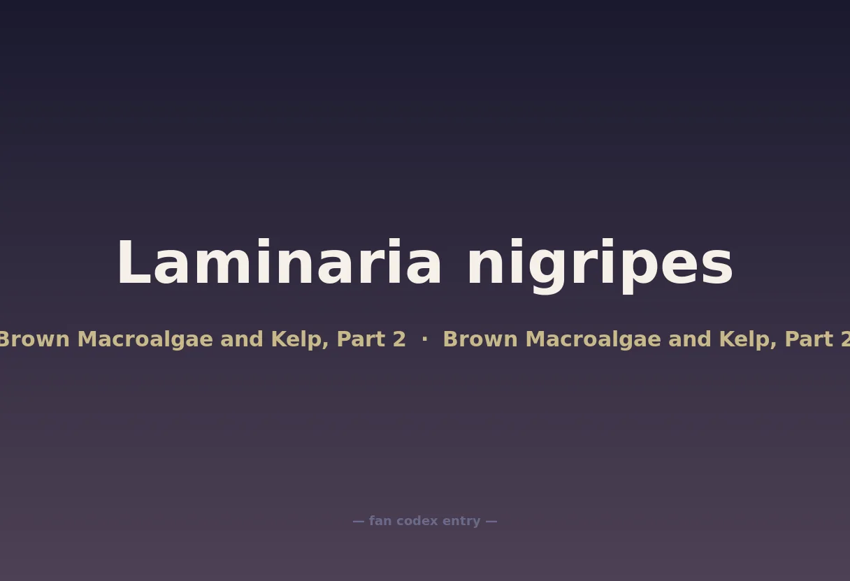Laminaria nigripes