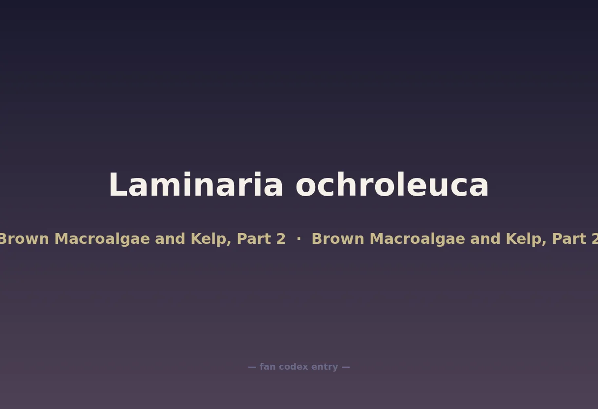 Laminaria ochroleuca