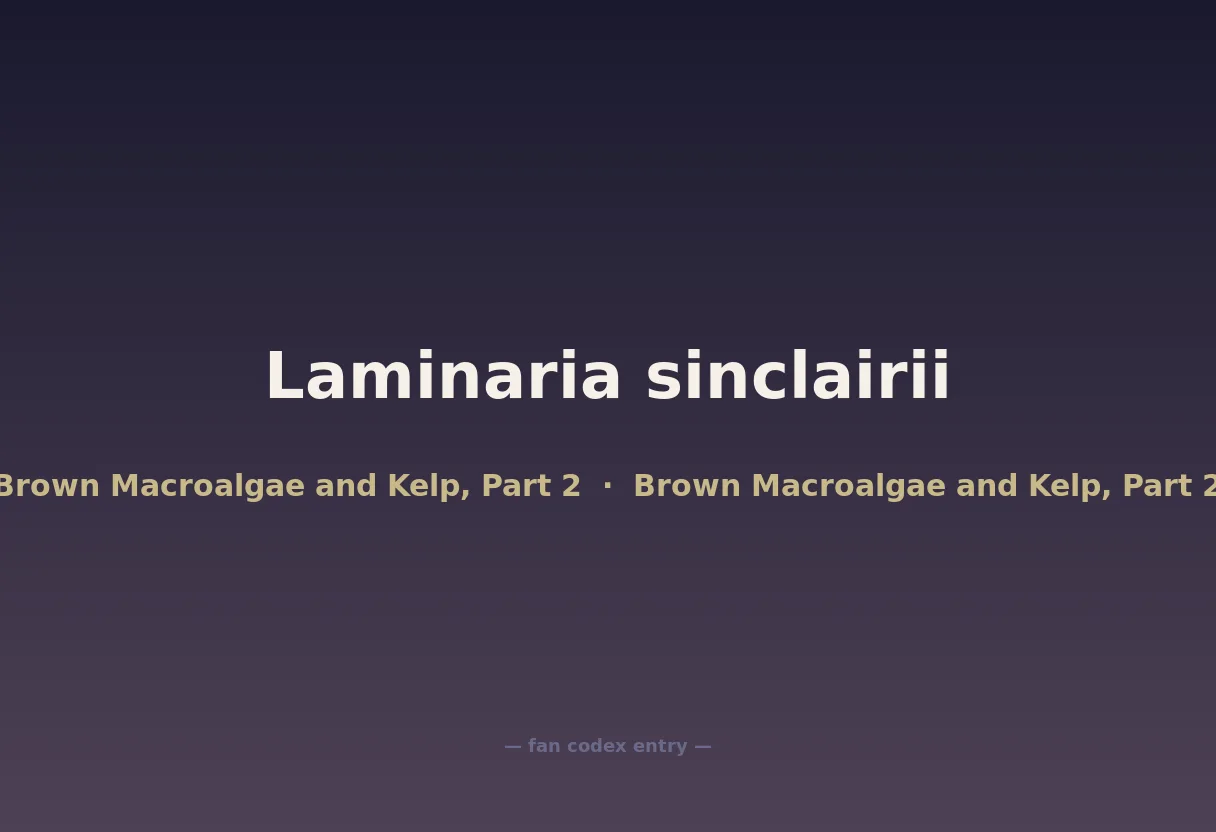 Laminaria sinclairii
